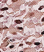 Printed Signature Lace Retro V-Kini