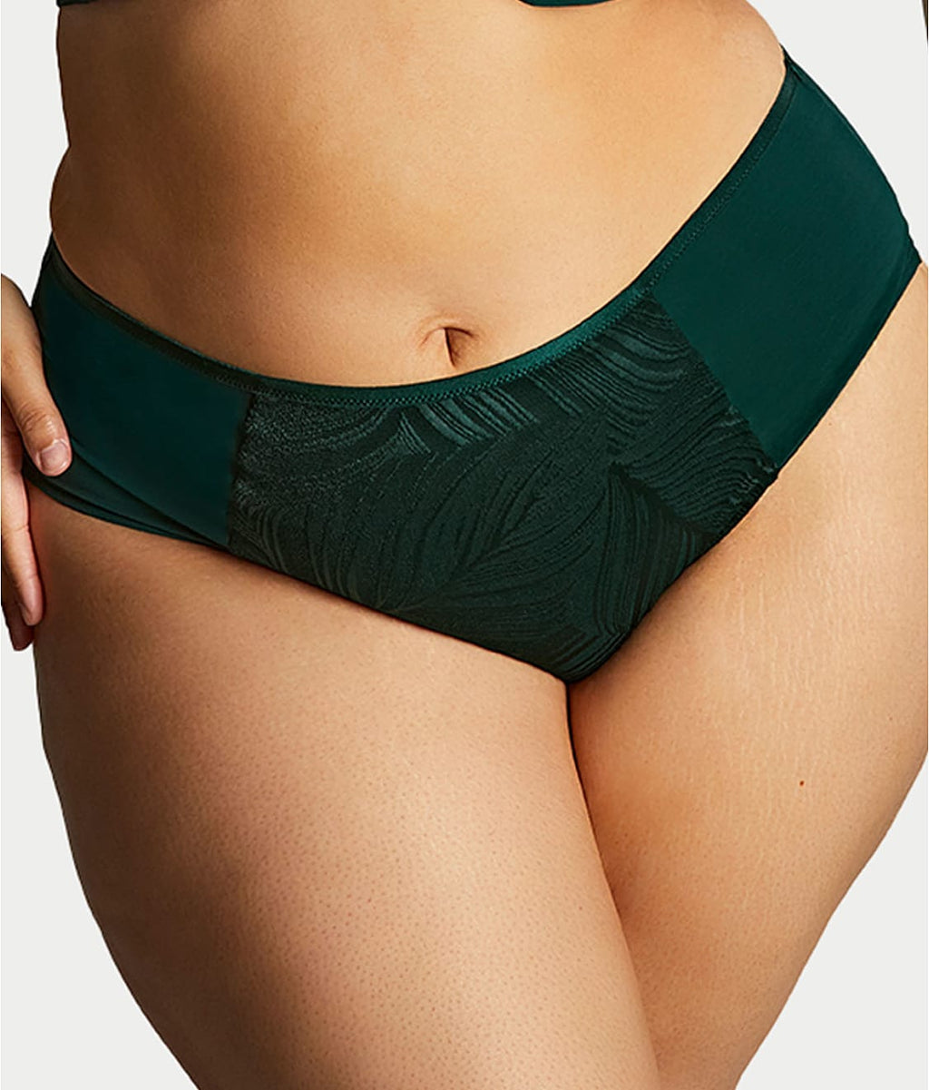 Illuminate Full Brief
