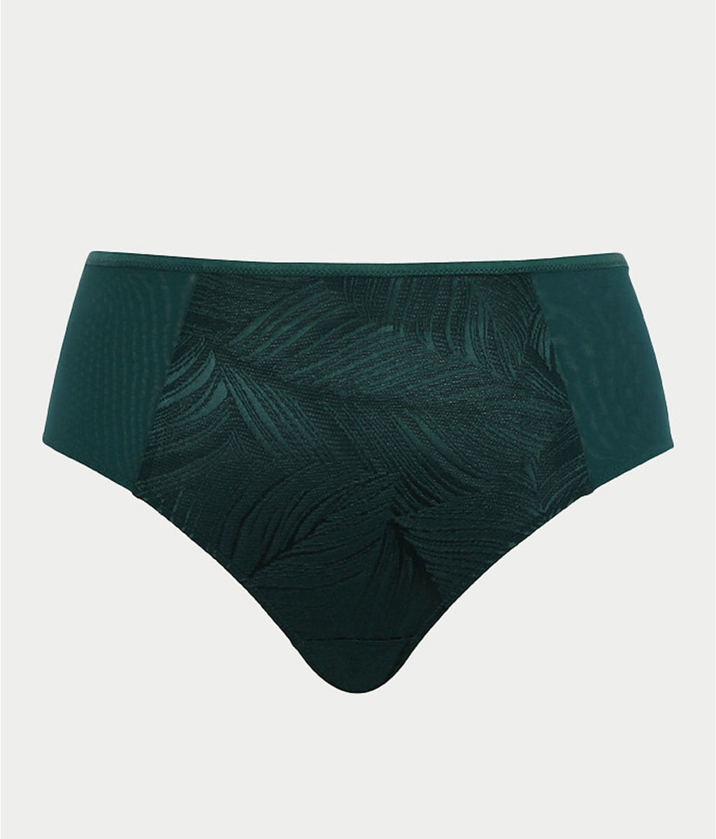 Illuminate Full Brief
