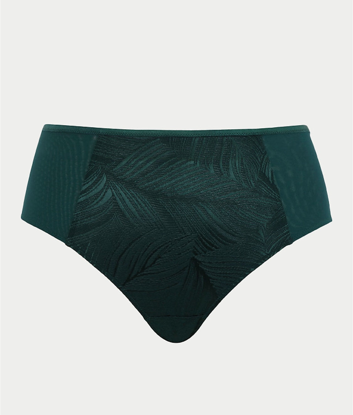 Illuminate Full Brief