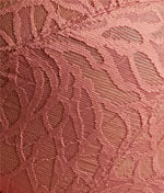 Sophia Full Coverage Stretch Lace Bra