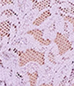 Signature Lace French Brief