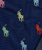 Embroidered Pony Mesh Bikini