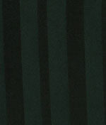 Indra Stripe Chemise