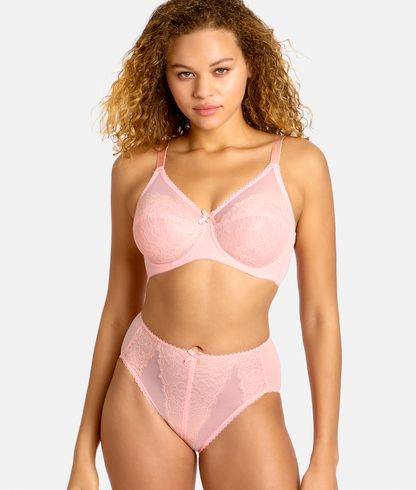 Retro Chic Hi-Cut Brief