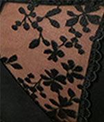 Zarla Hi-Cut Brief