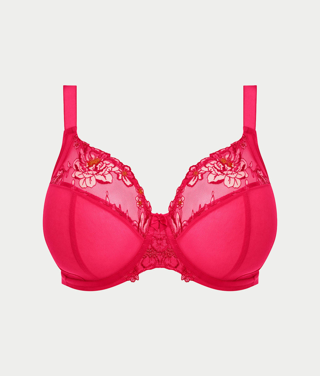 Teagan Plunge Bra
