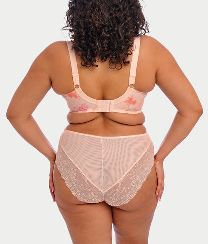 Lucie High Leg Brief