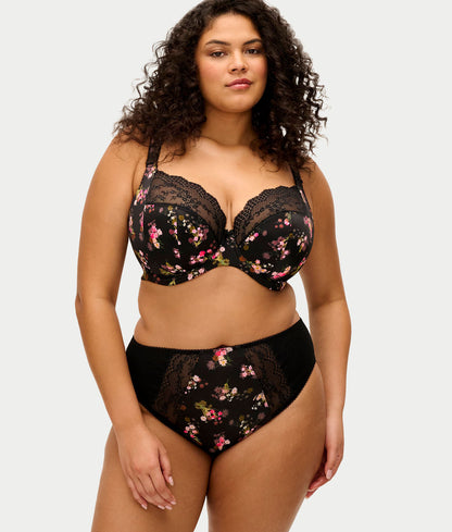 Lucie High Leg Brief