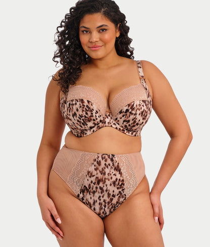 Lucie High Leg Brief