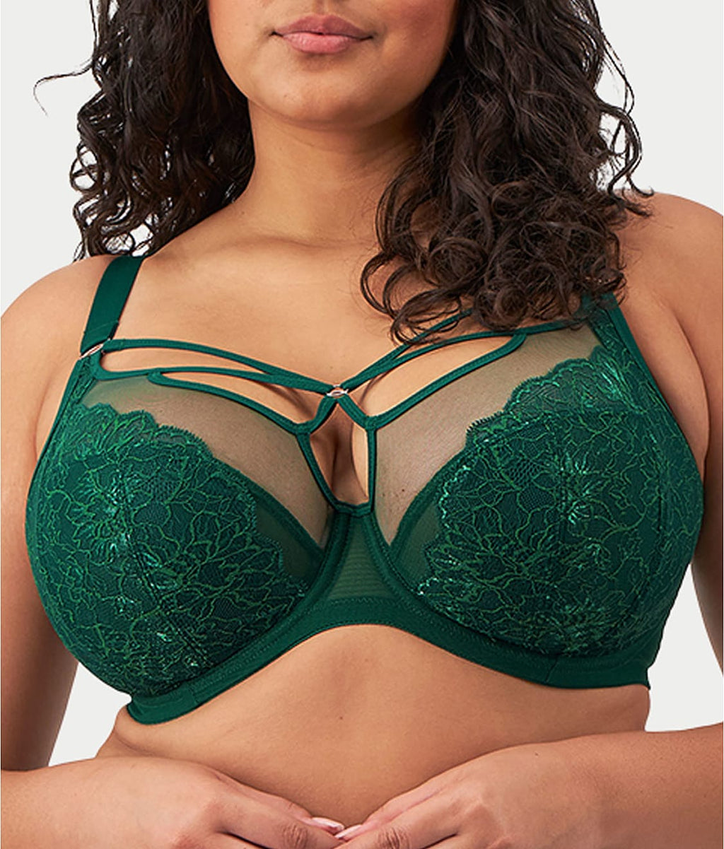 Brianna Cage Plunge Bra