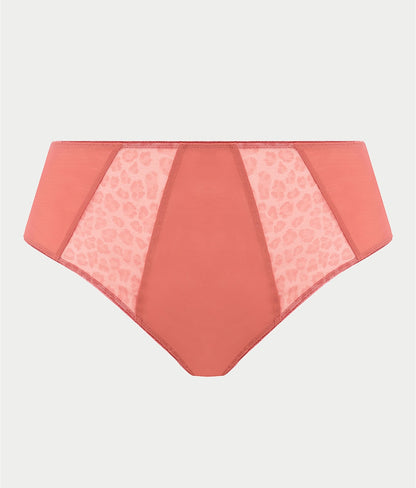 Matilda Full Brief