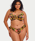 Plus Size Tiger Valley Hi-Cut Bikini Bottom