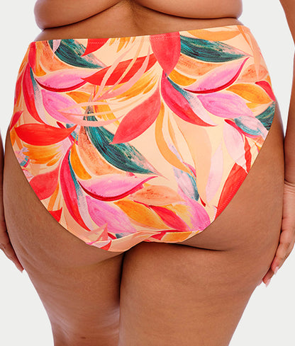 Plus Size Sancho Beach Mid Rise Bikini Bottom