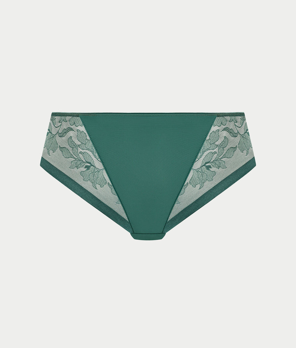 Illusion Brief