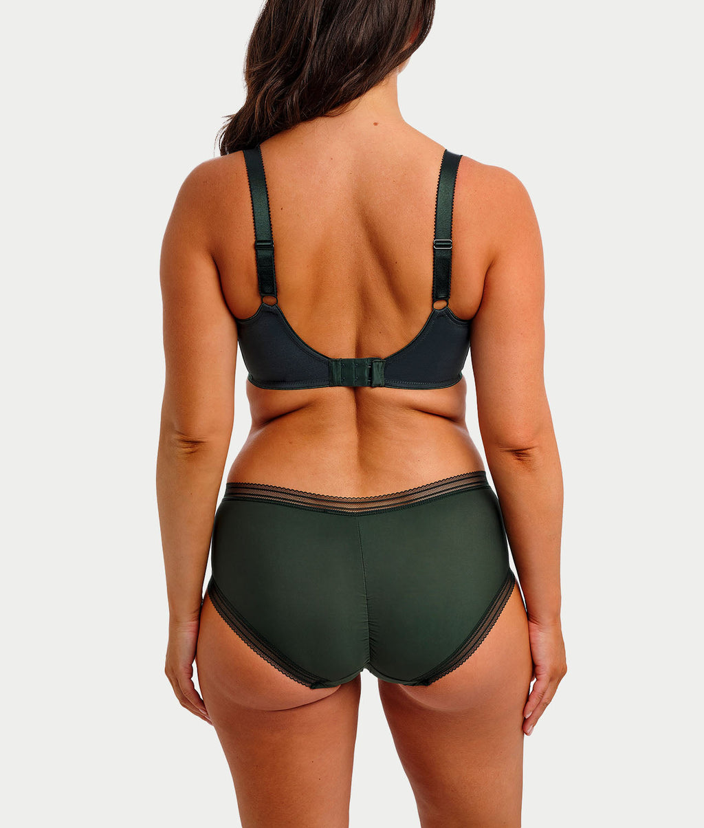 Fusion Brief
