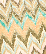 Arizona Wave Plunge Bikini Top