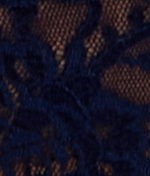 Signature Lace French Brief