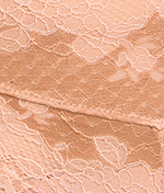 Clara Lace High-Waist Cheeky Brief