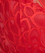 Allure Full Cup Bra