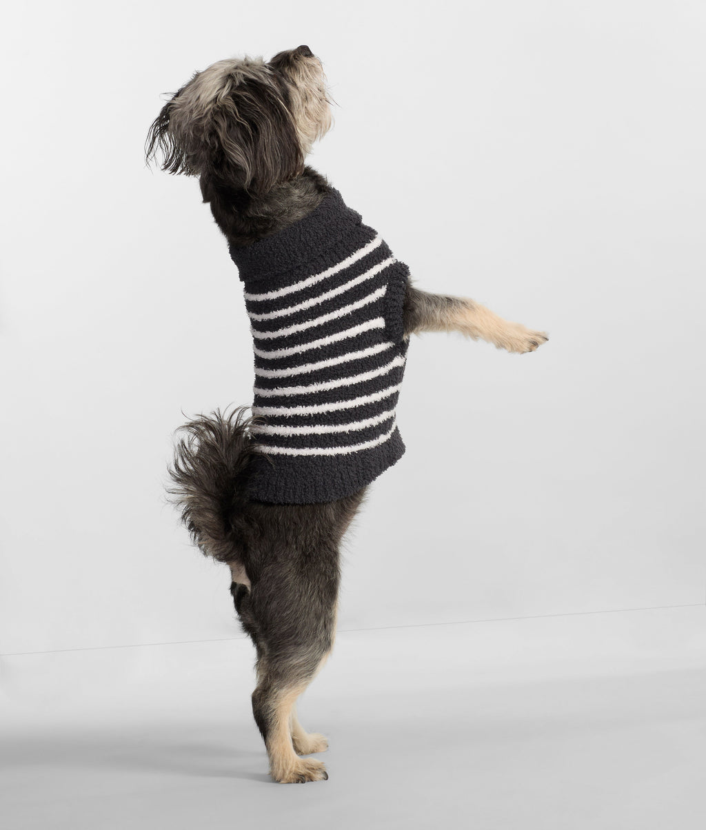 The Cozy Dog Sweater