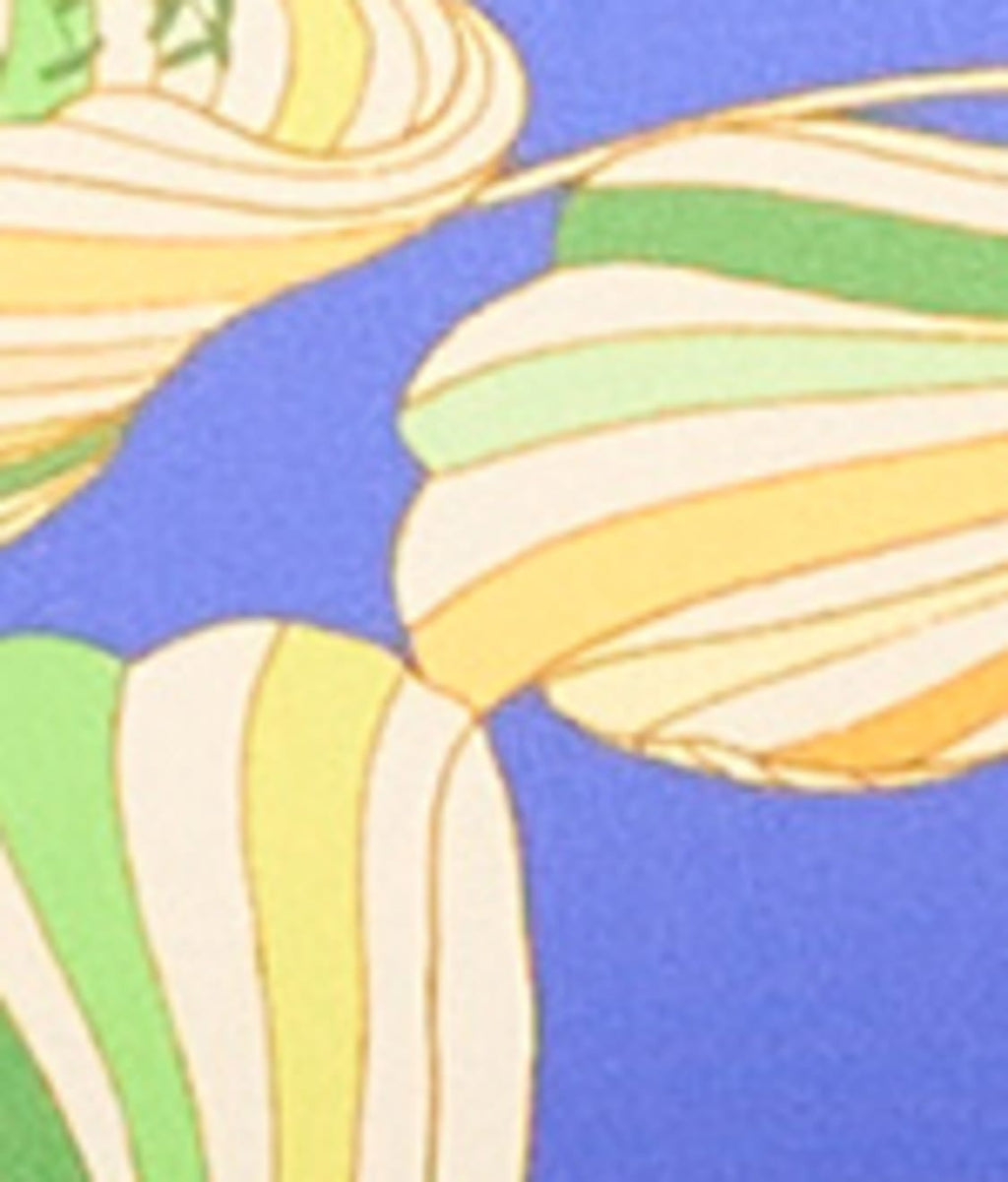 The Slimming Grecian One-Piece