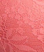Lightly Lined Lace Plunge Bra