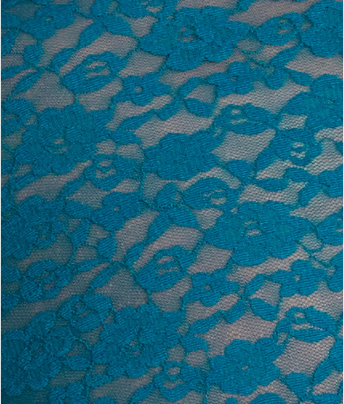 Allover Lace High-Leg Brief