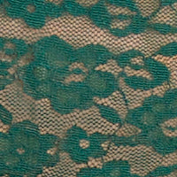 Allover Lace Bikini