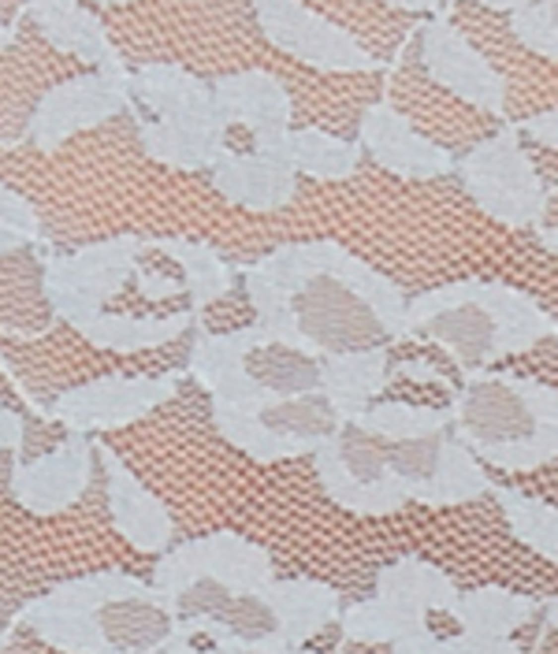 Allover Lace Bikini