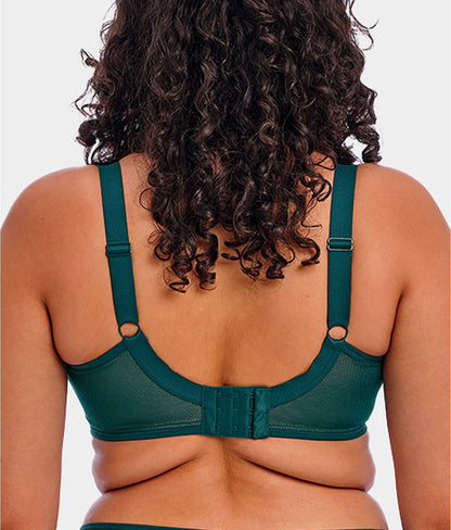 Kintai Plunge Bra
