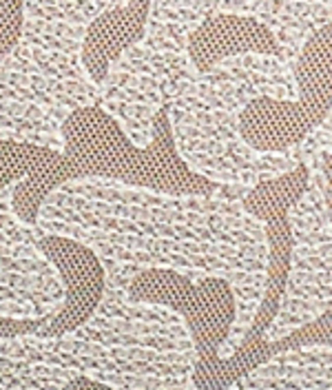 Leia Brief