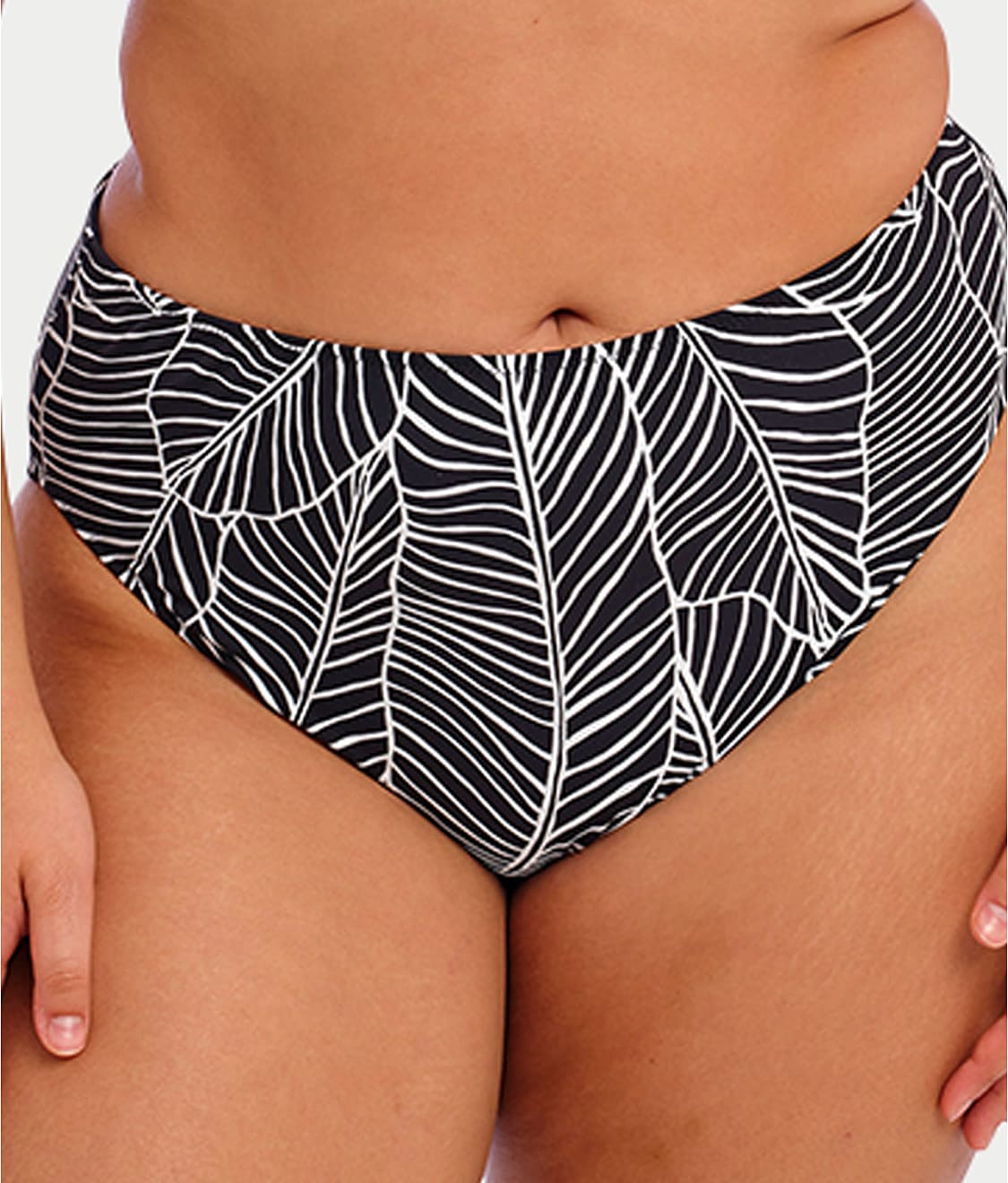 Plus Size Kata Beach Mid-Rise Bikini Bottom