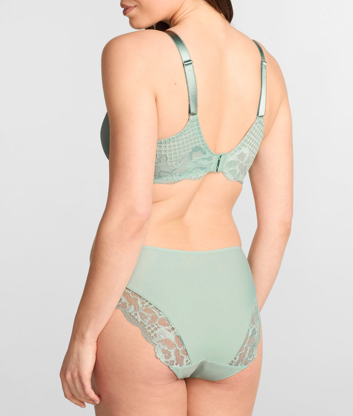 Reflect Brief
