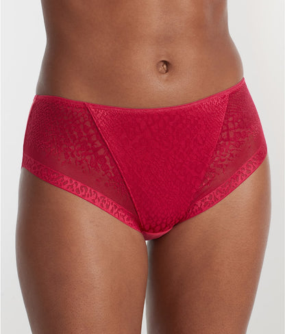 Envisage Brief