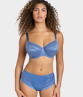 Envisage Brief