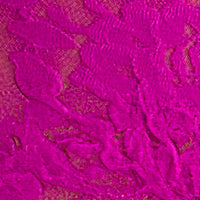 Signature Lace French Brief