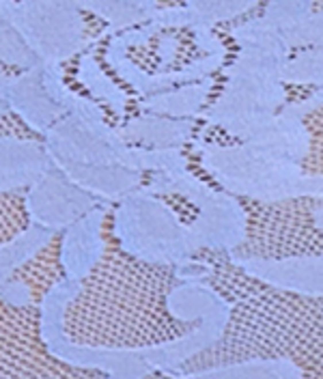 Signature Lace Boyshort