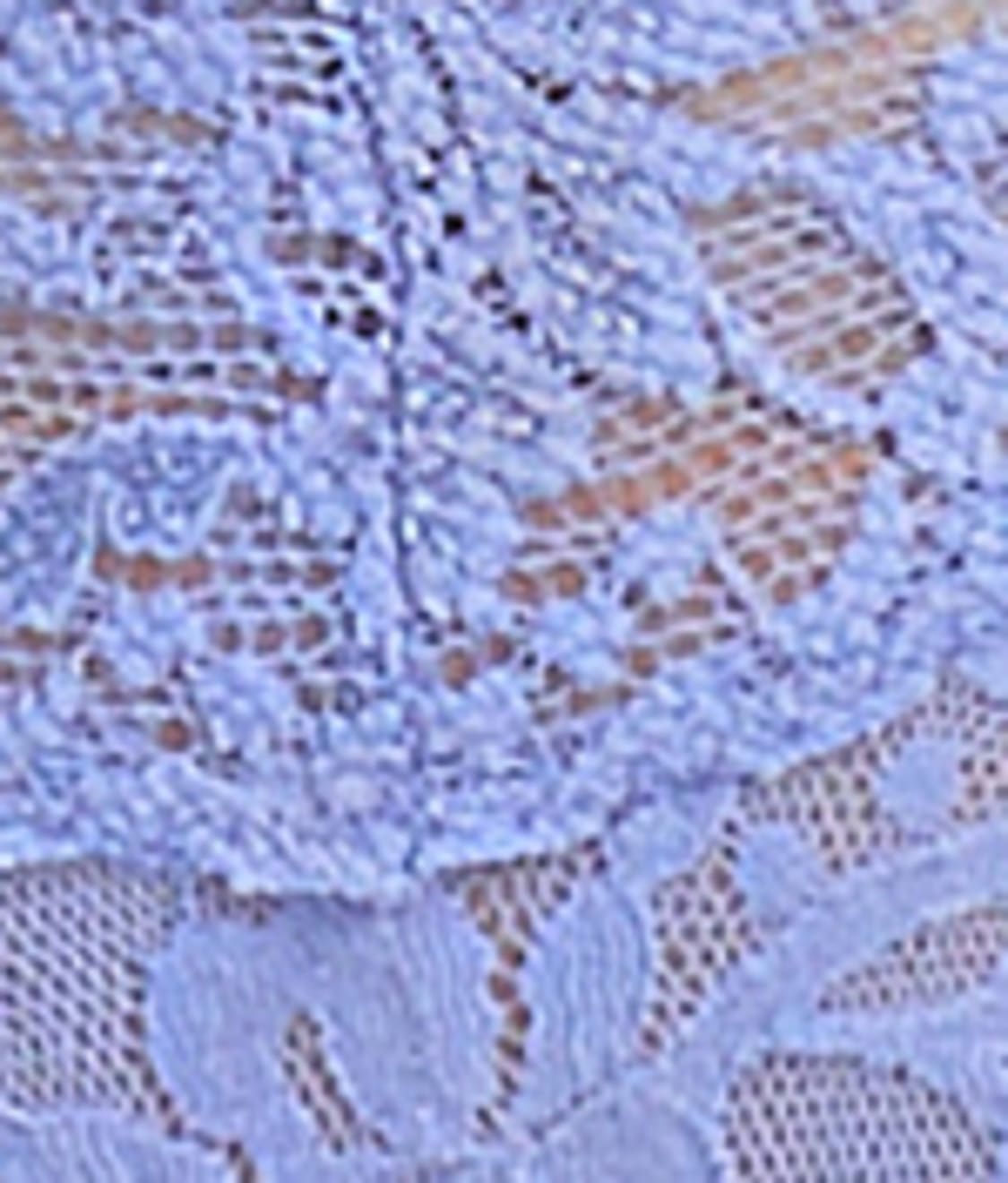 Signature Lace Low Rise Thong