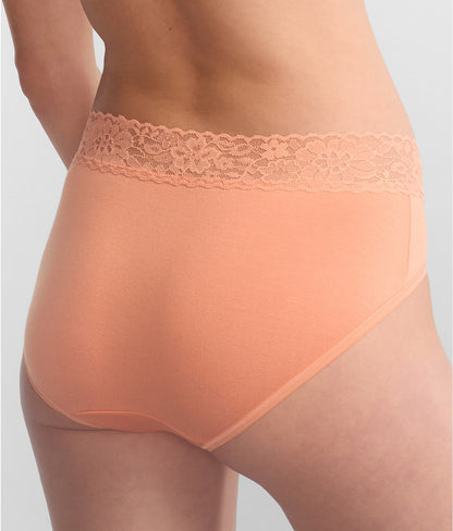 Dream French Brief