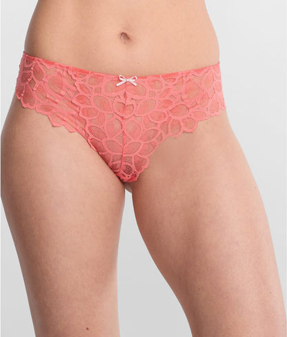 Allure Brief