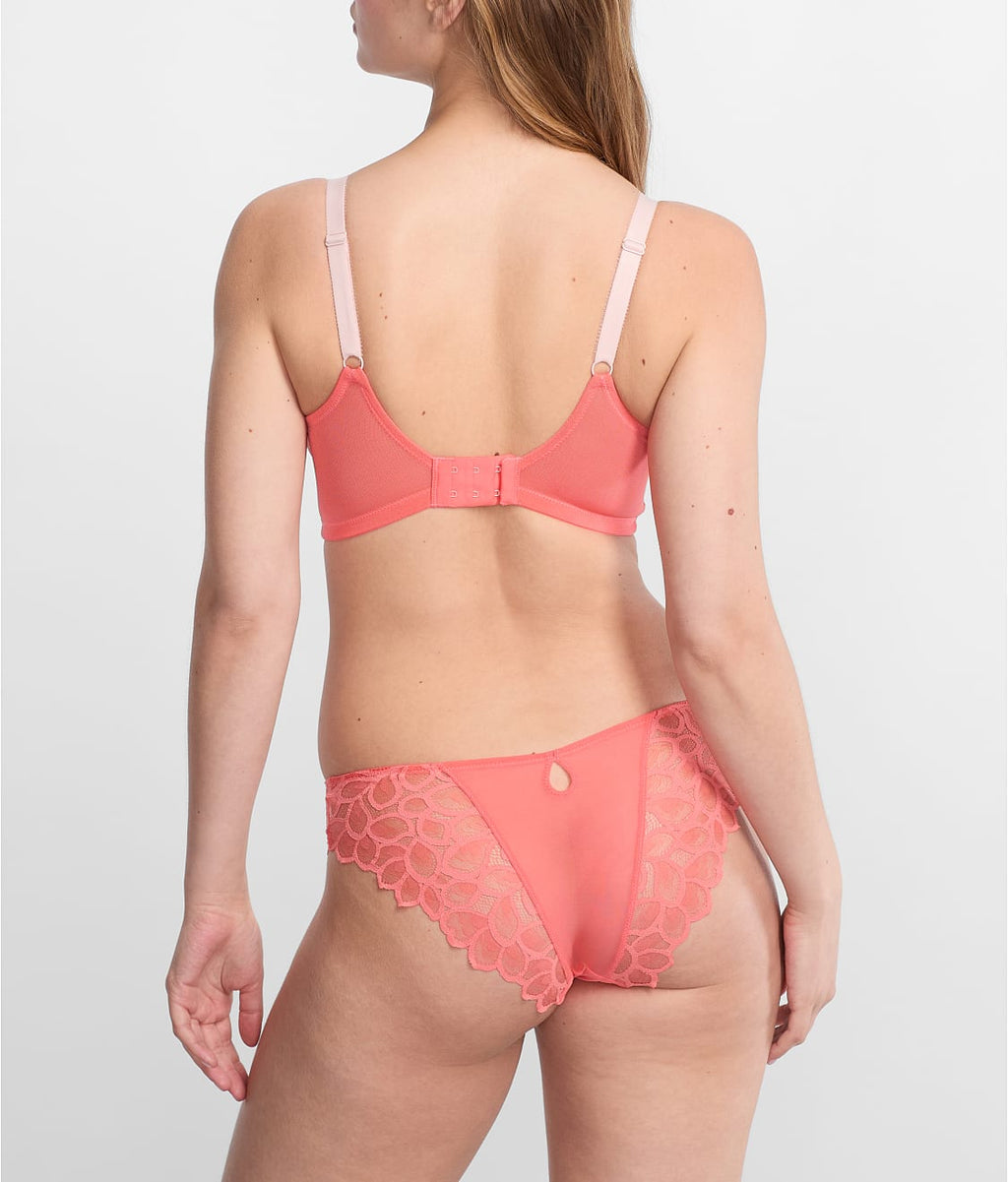 Allure Brief