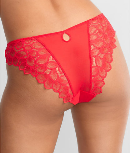 Allure Brief