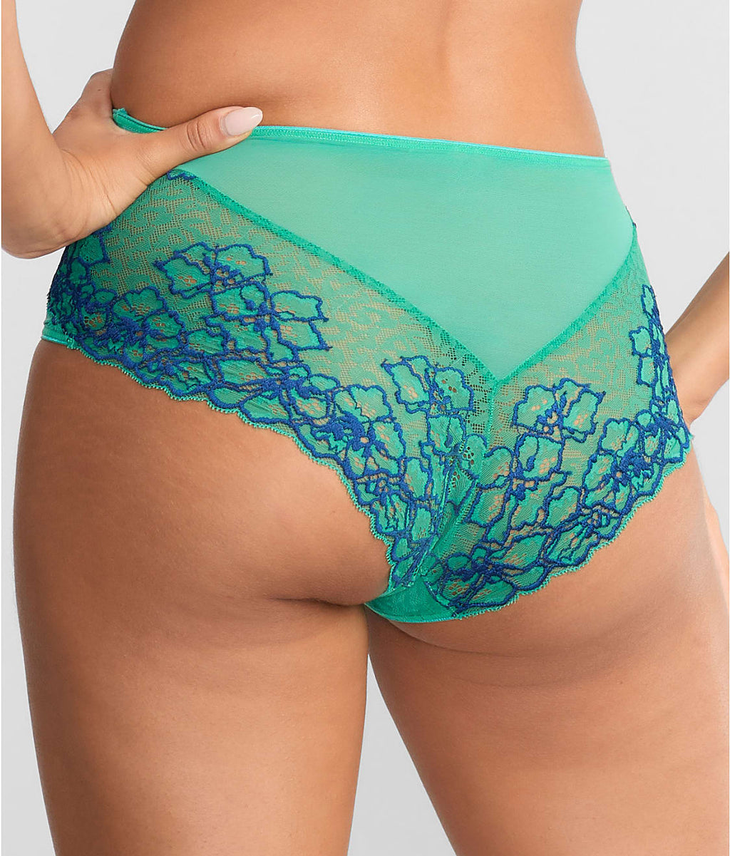 Envy Full Brief