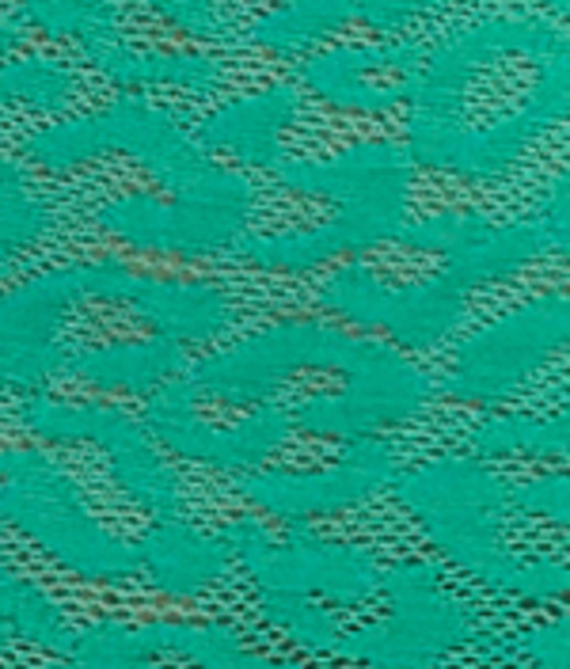 Envy Full Brief
