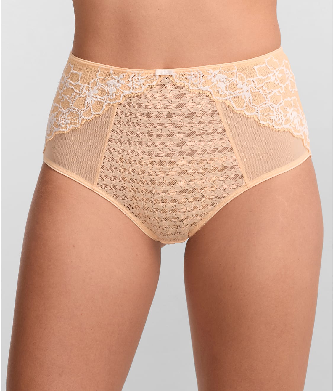 Envy Full Brief