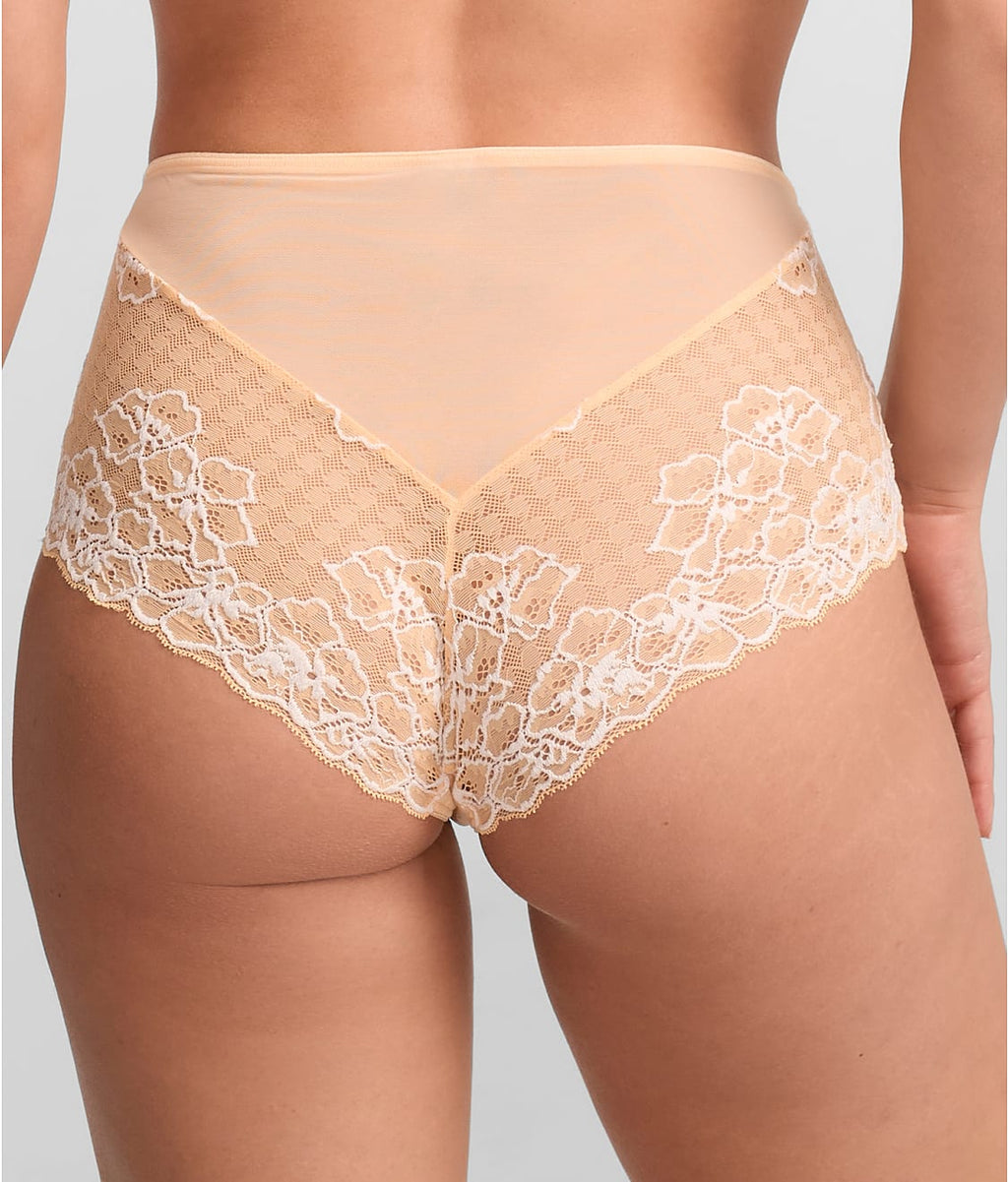 Envy Full Brief