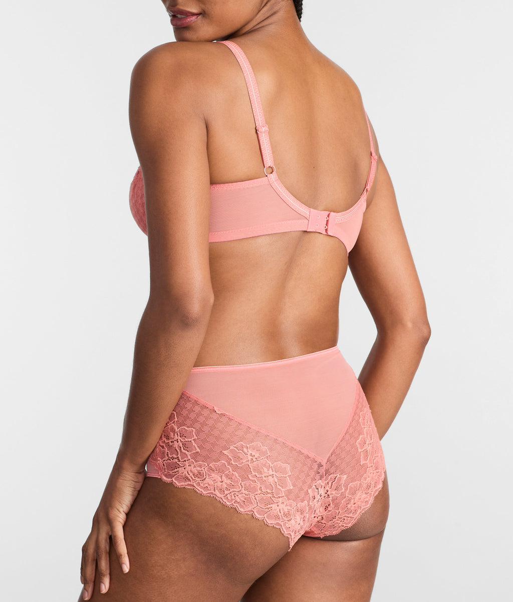 Envy Full Brief