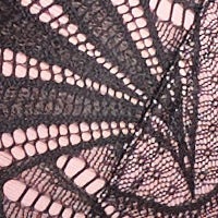 New Romance Front-Close Longline Bra