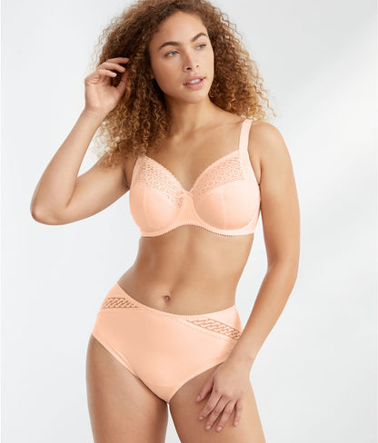 Montara Full Brief